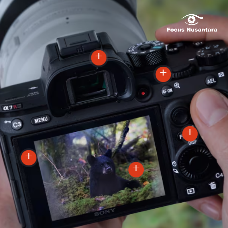 4 Rekomendasi kamera mirrorless murah dengan fitur terbaik