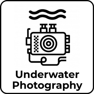 Underwater_Photography